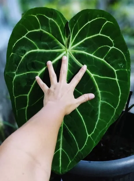 A close-up of hands gently touching a vibrant green leaf, symbolizing mindfulness and connection with nature.