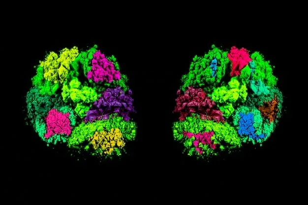 A brain scan image highlighting the prefrontal cortex in a vibrant color, contrasting with a subdued amygdala, visually representing the shift in brain activity during the process of forgiveness.