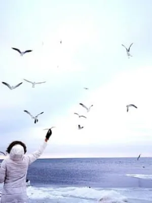 The Role of Forgiveness in Emotional Healing: A Guide - Cover Image