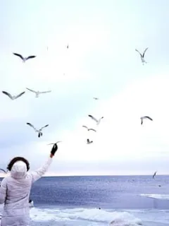 The Role of Forgiveness in Emotional Healing: A Guide - Cover Image