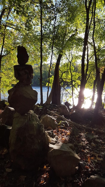 A peaceful scene of someone meditating outdoors in a serene natural setting, emphasizing the calming and restorative effects of mindfulness.