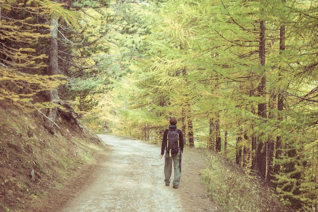A person is walking through a forest trail with tall trees on both sides. Sunlight filters through the leaves, creating dappled shadows on the path. The person appears relaxed and is enjoying the natural surroundings.
