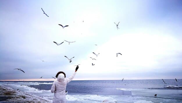 The Role of Forgiveness in Emotional Healing: A Guide