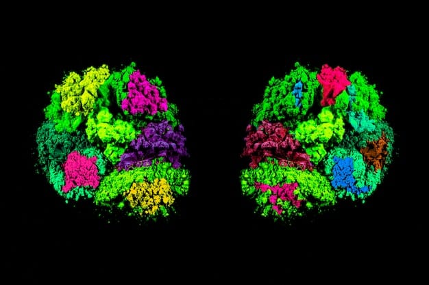 A brain scan image highlighting the prefrontal cortex in a vibrant color, contrasting with a subdued amygdala, visually representing the shift in brain activity during the process of forgiveness.