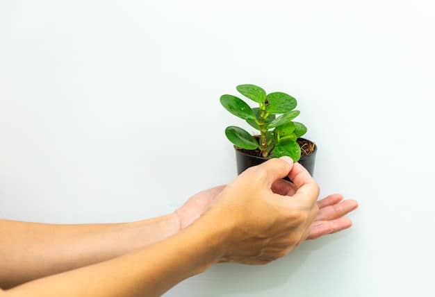 A close-up of hands gently holding a green plant seedling, representing growth, care, and attention to detail.