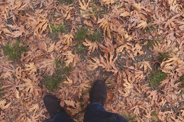 An overhead view of a person's feet walking on a leaf-covered path in a forest, highlighting the grounding and natural aspect of outdoor walking.