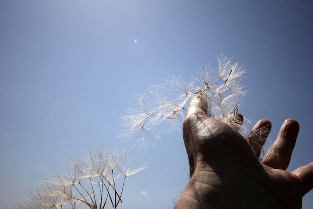 A close-up of hands gently releasing a handful of dandelion seeds into the wind, symbolizing the act of letting go and freeing oneself from burdens.