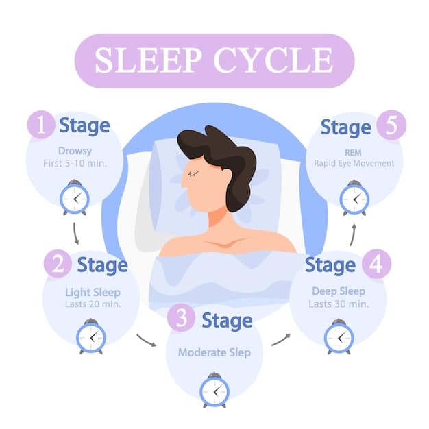 A chart illustrating the different stages of sleep (NREM 1, NREM 2, NREM 3, REM) with descriptions of brain activity and physiological changes during each stage.